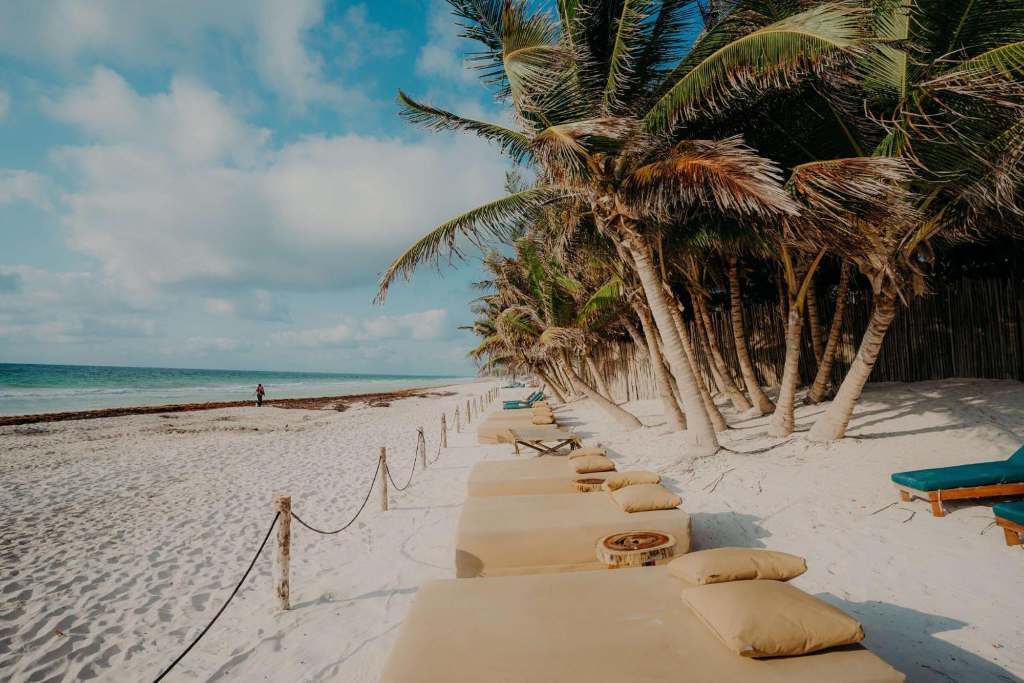 Luxury Papaya Playa Project Club Membership Included Apartamento