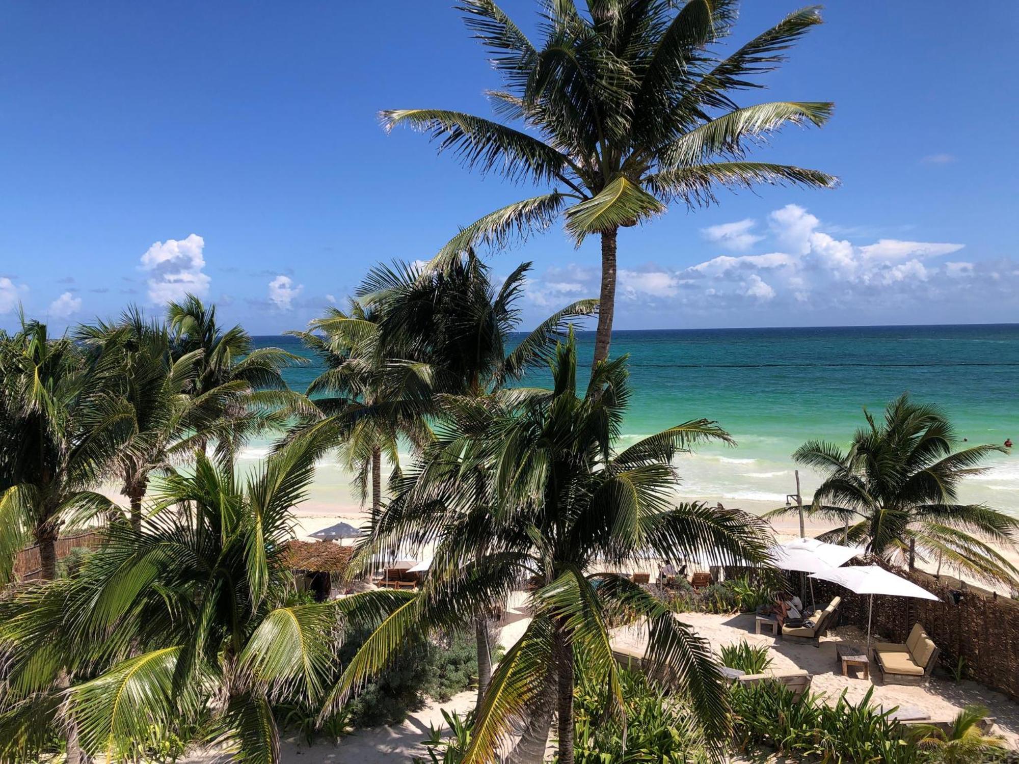 Apartamento Luxury Papaya Playa Project Club Membership Included Tulum